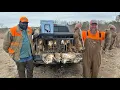 Hunting RABBITS with BEAGLES in the Low Country of South Carolina Catch Cook