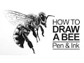 Pen and Ink Lesson - How to Draw a Bee