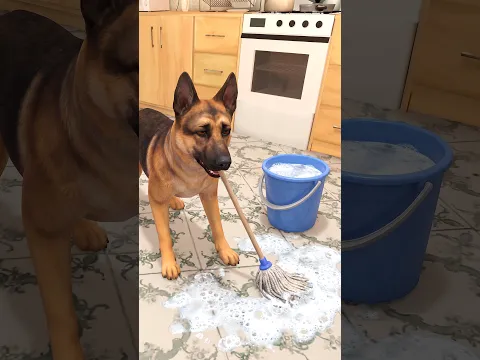 El PERRO tiene que LIMPIAR la casa en Schoolboy Runaway #shorts