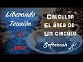 Calcular el area de un Circulo en Java