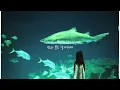 Bring Me The Horizon - Dehumanized | 가사/번역/해석
