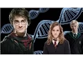 Download Lagu The Magical Blood Lines Explained
