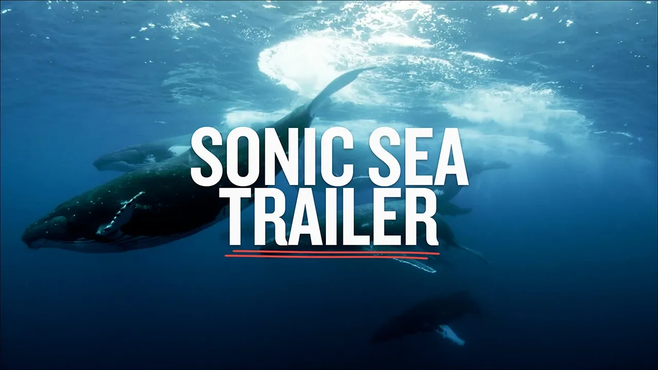 Sonic Sea — Trailer