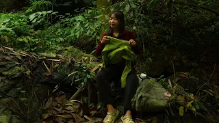 SOLO OVERNIGHT CAMPING IN THE RAIN - RELAXING IN THE TENT WITH THE SATISFYING SOUND OF NATURE - ASMR