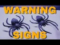 Download Lagu Loreen - Warning Signs (Lyric Video)