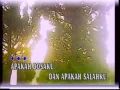 Download Lagu Alleycats - Sekuntum Mawar Merah Sebuah Puisi *Original Audio