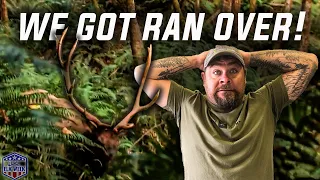 CRAZIEST MOMENTS IN THE ELK WOODS