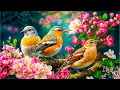 Download Lagu Mūzika izturas pret bezmiegu, noderīga sirdij un nomierina nervu sistēmas 🌿 Mūzika nomierina dvēseli