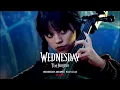 Wednesday - Paint It Black Cello Version Extended