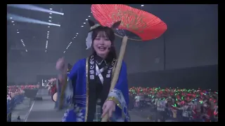 hashire uma musume live