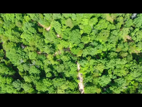 Video Drone CHF Narrated