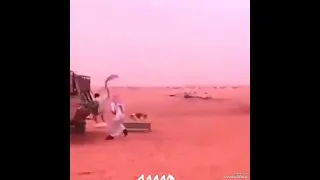 تمنيك الجزائر الجلفة اضحك 