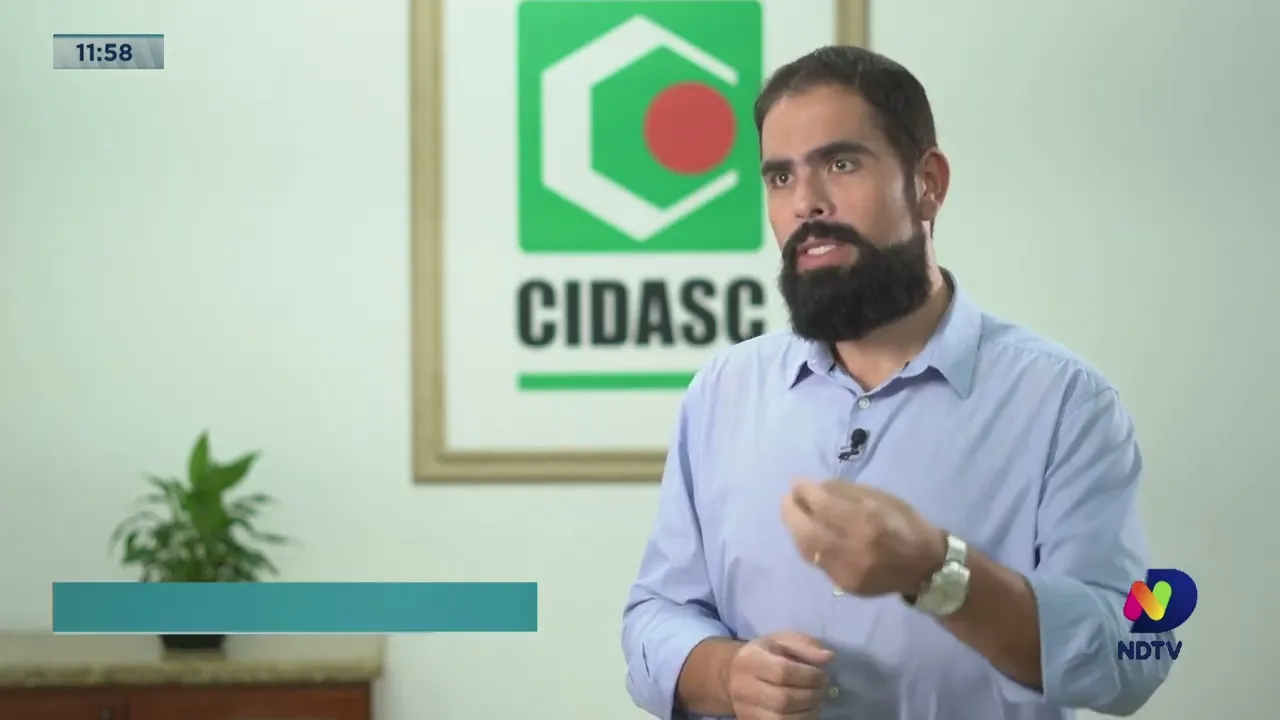 Confirmação de caso de gripe aviária em animal silvestre não coloca em risco a produção agrícola