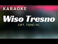 Download Lagu Wiso Tresno Karaoke