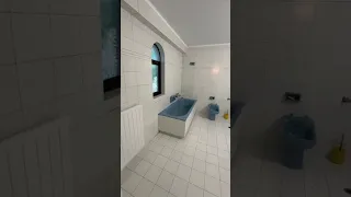                     دندنها