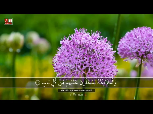 ⁣وَالْمَلَائِكَةُ يَدْخُلُونَ عَلَيهِم مِّن كُلّ بَابٍ .. || من ابداع الحنجرة الذهبية الشيخ عبدالباسط