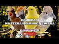 Download Lagu Kombinasi masteran burung juara