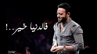 هو في كدا زي قلبك اغنيه بيت كبير تامر عاشور حالات واتس 