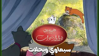 سبعاوي وبحلات قطط ذوات 1970 