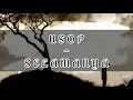 Download Lagu Usop - Selamanya {(Lirik) HQ Audio}