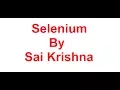 Selenium Session 2