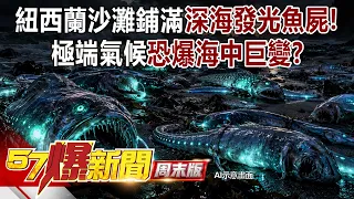 詭！美國加州「紫羅蘭色巨浪」翻湧！紐西蘭沙灘「鋪滿深海發光魚屍」...極端氣候海中巨變！？ - 黃敬平 徐俊相《57爆新聞》20260906-3