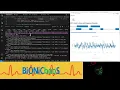 Mastering Wavelet Processing for EEG Data Analysis A Comprehensive Coding Journey