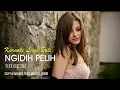 Download Lagu Yudi Kresna - Ngidih Pelih (Karaoke Minus One Lagu Bali)