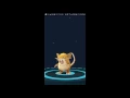 INSANE Pokemon go Evolution - evolve Rattata to Raticate