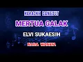 Download Lagu Mertua Galak - Elvi Sukaesih Karaoke