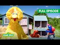 Lagu Let's Learn about Chickens and Geckos! | TWO Sesame Street Full Episodes