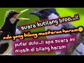 Download Lagu Suara kutilang full isian💯mantap buat masteran🔥JALAK SUREN \u0026 SEMUA BURUNG KICAU ‼️