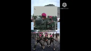 Download KUMPULAN TIKTOK \u0026 SNACK VIDEO, STORY WA TNI... MP3