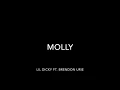 Download Lagu Molly - Lil Dicky ft. Brendon Urie (Clean) w/ lyrics