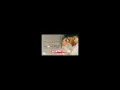 Moon Rise (Definitive Version) Guru Randhawa, Shehnaaz Gill | Man of The Moon | Sanjoy | Gifty