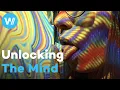 The Psychedelic Experience Dive into the inner workings of psychedelic journeys full documentary