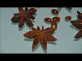 Star anise poisoning, side effects.