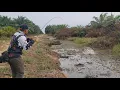 Download Lagu BER TAHUN² TERTUTUP RUMPUT AKGIRNYA KANAL INI DI BUKA || FULL STRIKE IKAN GABUS YANG KELAPARAN