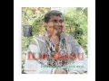 Download Lagu Ilie Roşu - S-a sucit lumea de tot