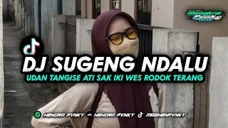 dj sugeng ndalu udan tangise ati sak iki wes rodok terang yang di tiktok hendra fvnky