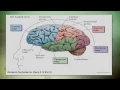 Overview of Traumatic Brain Injury TBI