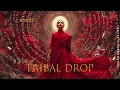 Lagu Tribal Drop | Indian Techno House Music - DJ Party