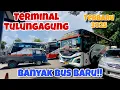 Download Lagu Terminal Gayatri Terbaru | Siapa nih yang rindu Tulungagung? Beginilah aktifitas di siang hari 🔥
