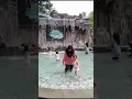 Download Lagu lgi berenang mumpung liburan sekolah