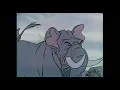 Download Lagu Elephant Smash 35mm (upscaled)