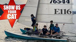 Show us your cat! Episode 116 USA and Brazil