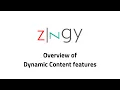 Zingy - No-Code Dynamic Content Overview