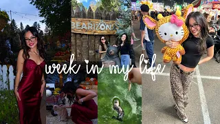 WEEKLY VLOG Fall Wedding Bearizona Arizona State Fair more