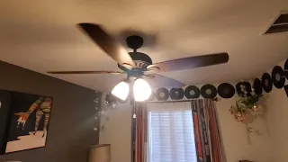 Honest Review of Hampton Bay Ceiling Fan
