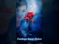 Download Lagu Patahnya Sayap Malam